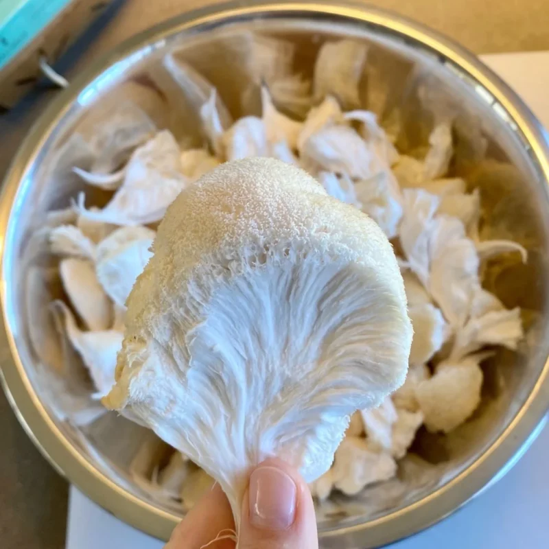 how do you cook lion's mane mushrooms