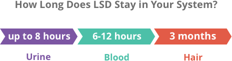 how long does lsd last