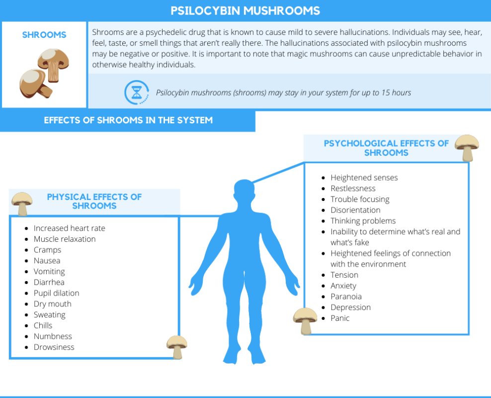 How Long Do Magic Mushrooms Stay in Your System