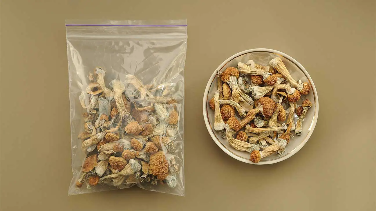 ounce of shrooms price